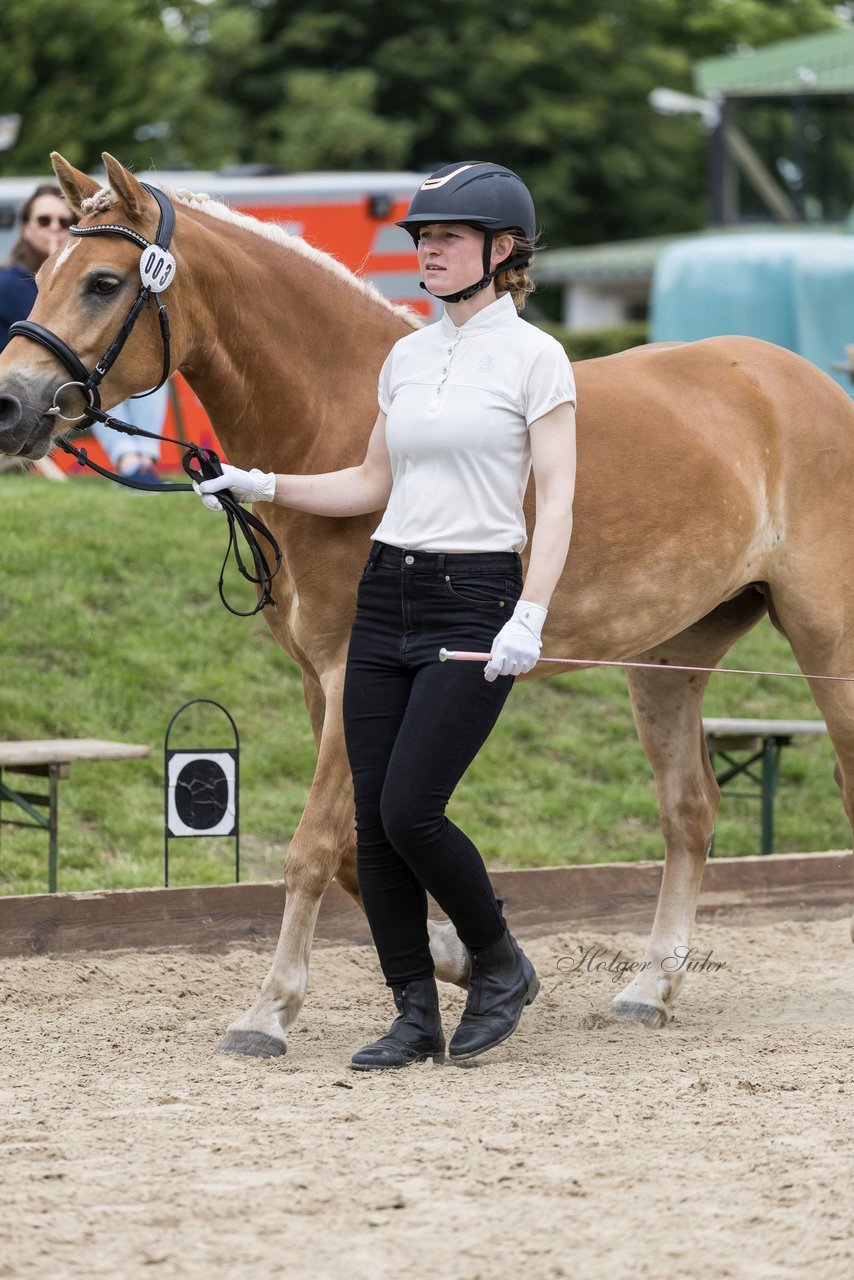 Bild 16 - Pony Akademie Turnier